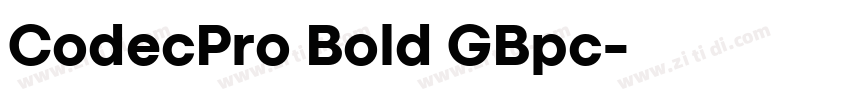 CodecPro Bold GBpc字体转换